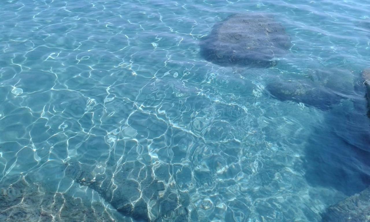 Basecamp Ogliastra - Flat Green Santa Maria Navarrese Dış mekan fotoğraf