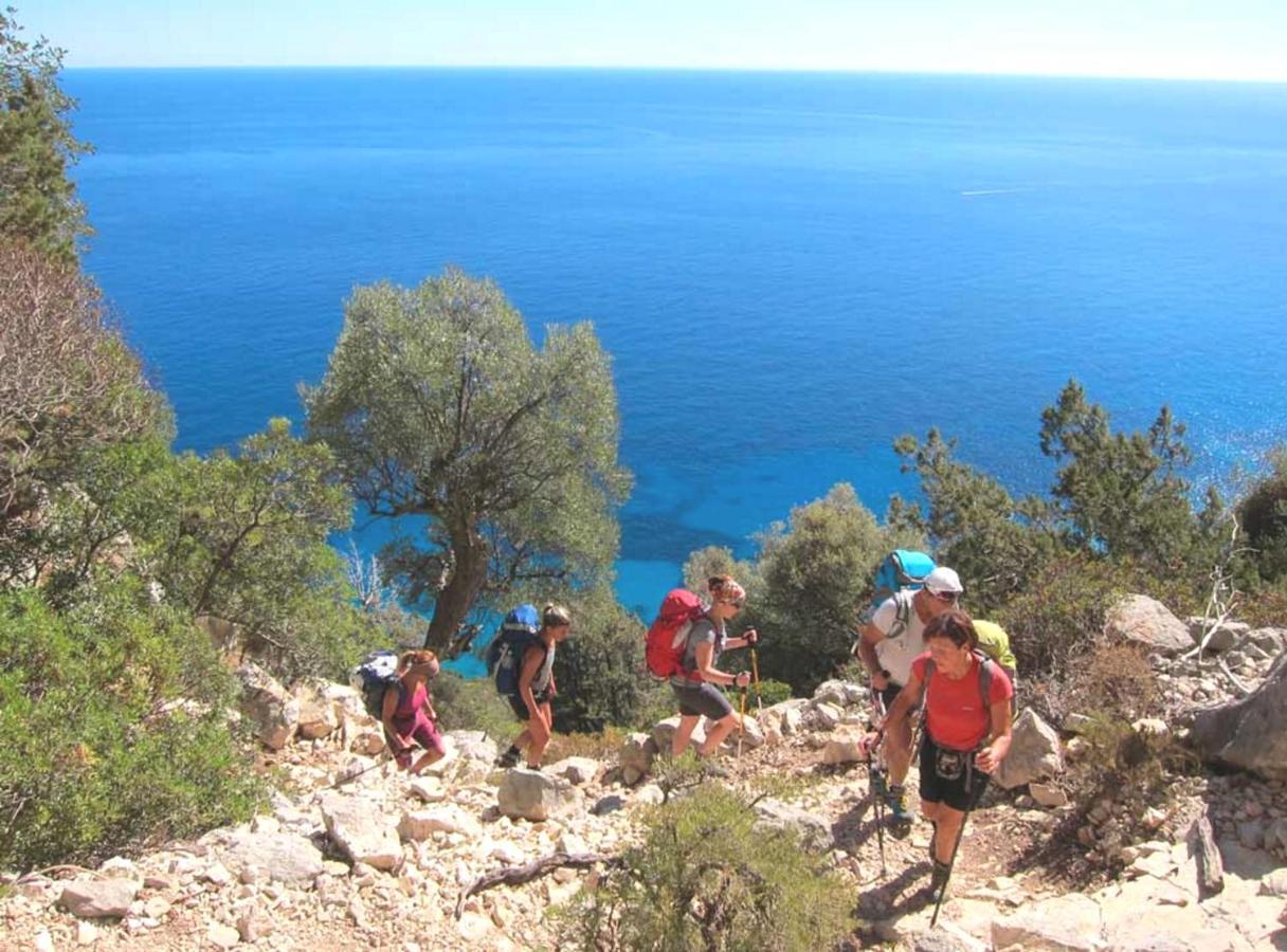 Basecamp Ogliastra - Flat Green Santa Maria Navarrese Dış mekan fotoğraf