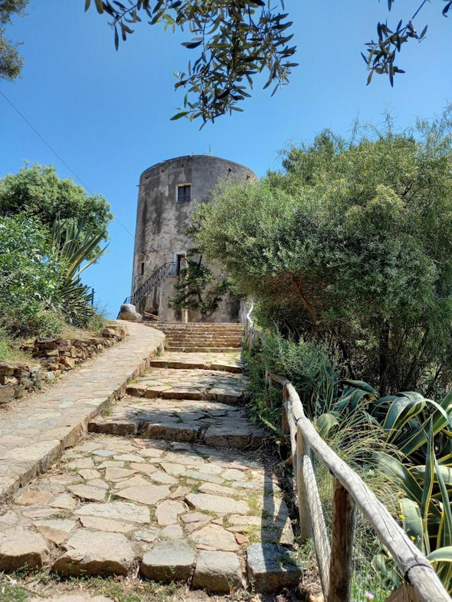 Basecamp Ogliastra - Flat Green Santa Maria Navarrese Dış mekan fotoğraf
