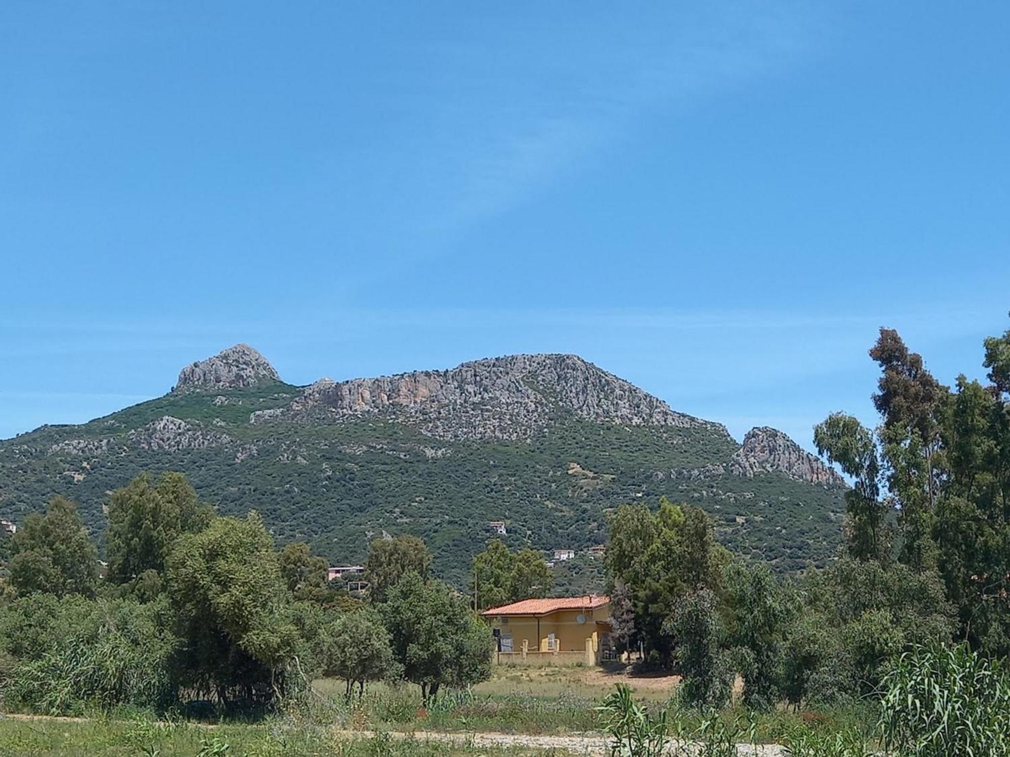 Basecamp Ogliastra - Flat Green Santa Maria Navarrese Dış mekan fotoğraf